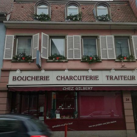 "Cote Nature", Appartement Cosy Au Coeur De Munster Munster  Kültér fotó