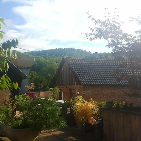 "Cote Nature", Appartement Cosy Au Coeur De Munster Munster  Kültér fotó