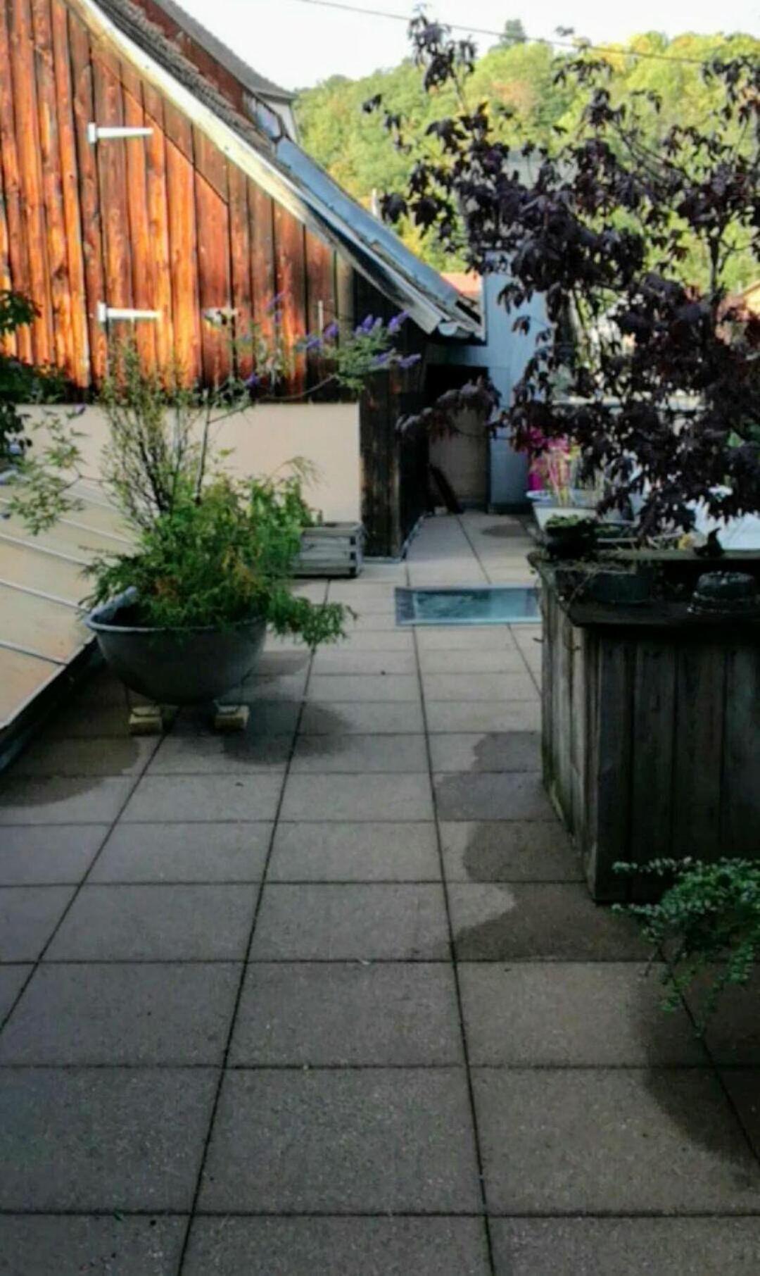 "Cote Nature", Appartement Cosy Au Coeur De Munster Munster  Kültér fotó