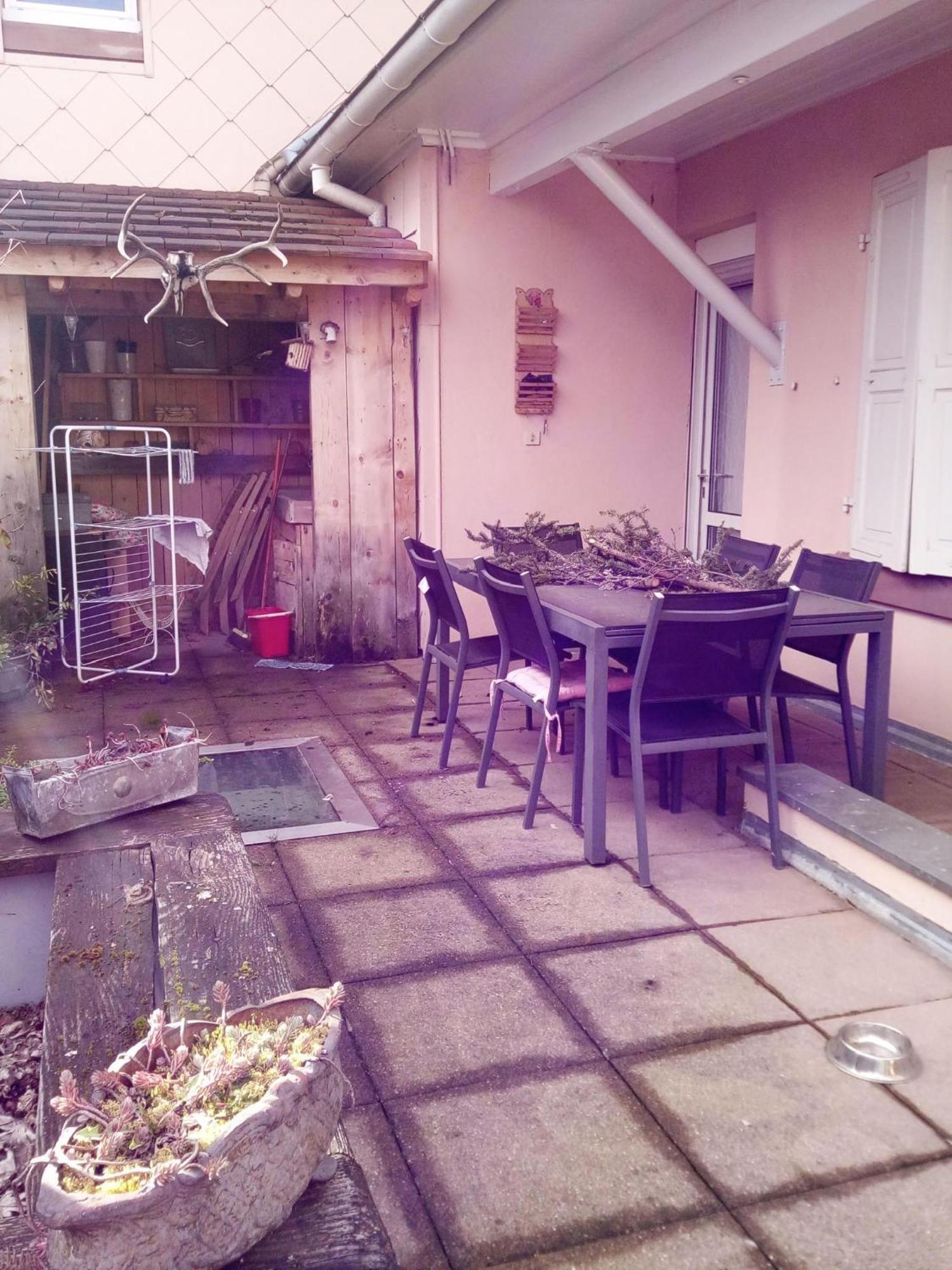 "Cote Nature", Appartement Cosy Au Coeur De Munster Munster  Kültér fotó