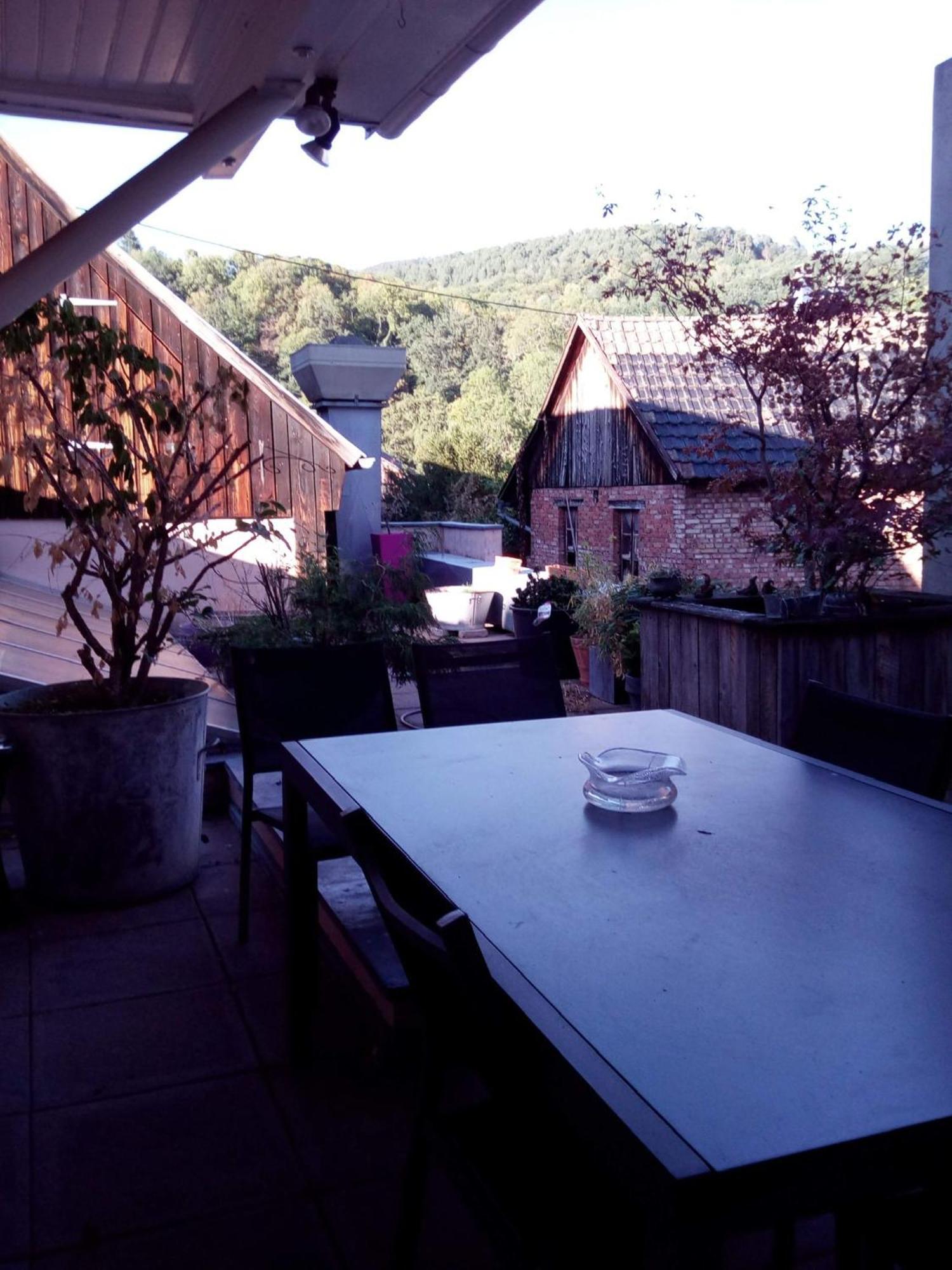 "Cote Nature", Appartement Cosy Au Coeur De Munster Munster  Kültér fotó